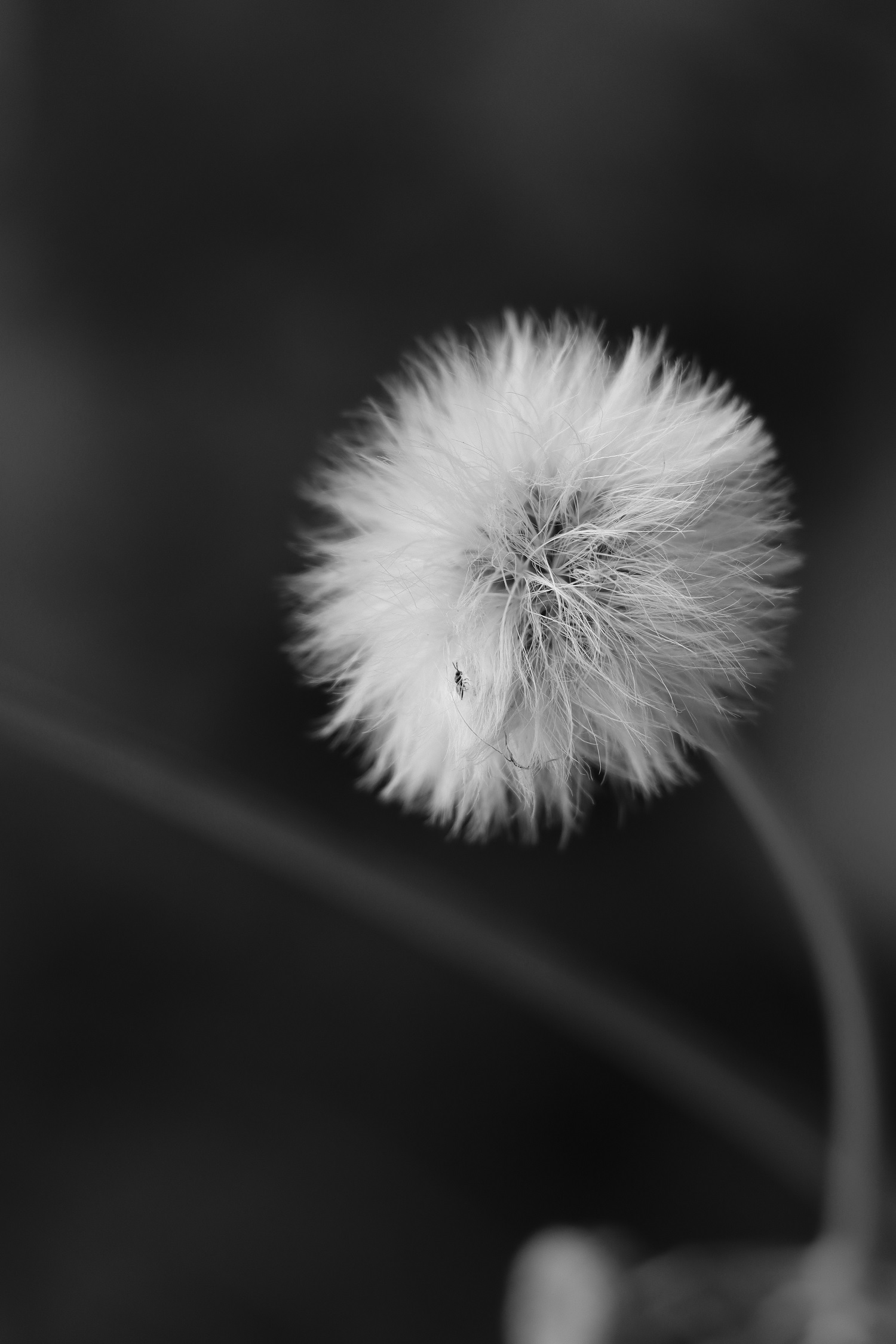 Photography 8